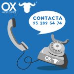 Contact Ox Worldwide